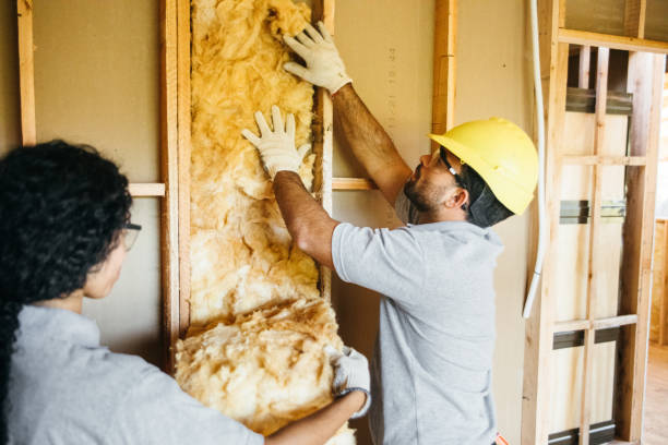 Types of Insulation We Offer in Bristol, TN